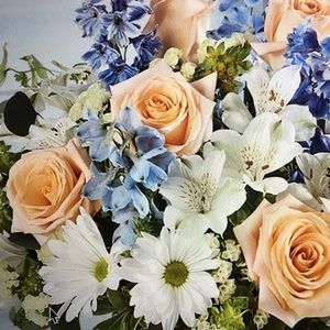 Meet your Posher, Kristi